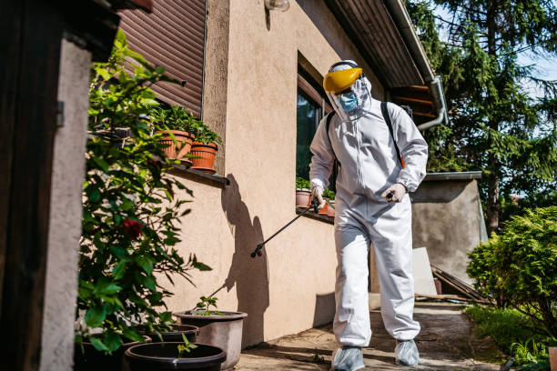 Pest Prevention Services in Miami, OK
