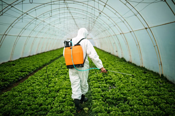 Best Best Pest Control Companies  in Miami, OK