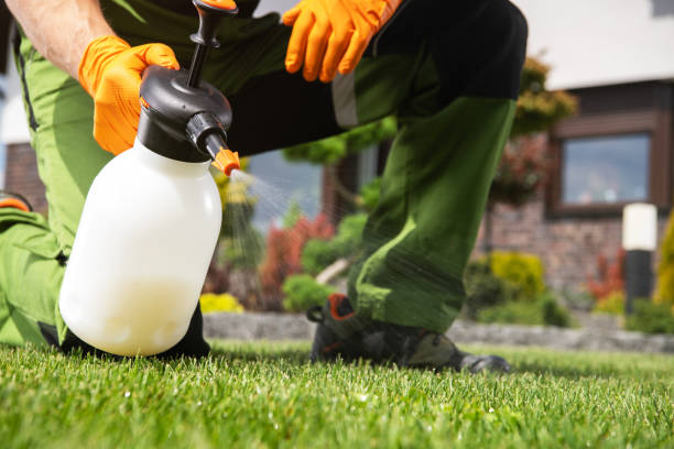 Best Wasp Removal Services  in Miami, OK