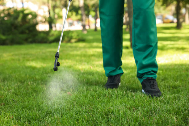 Best Termite Control Services  in Miami, OK