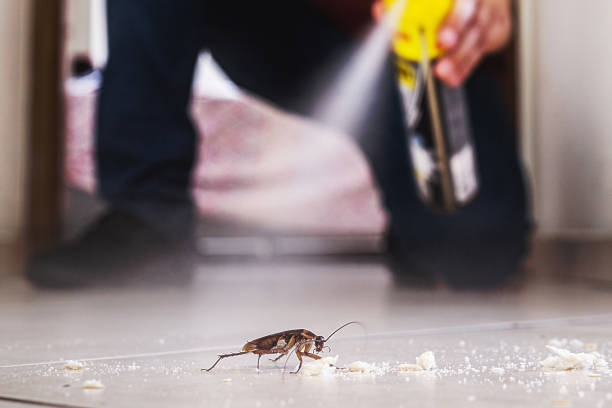 Best Pest Control Near Me in Miami, OK
